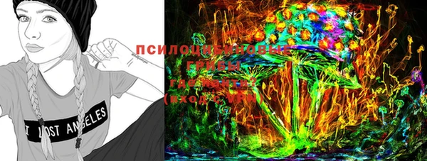 a pvp Костерёво