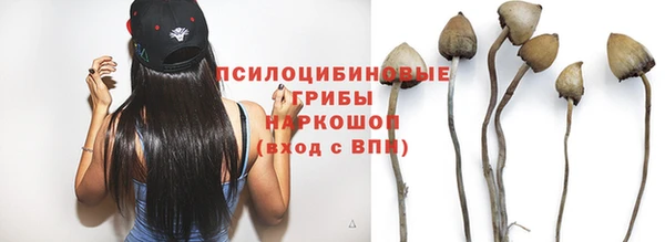 a pvp Костерёво