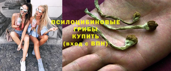 a pvp Костерёво