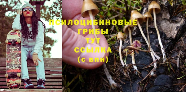 герыч Няндома